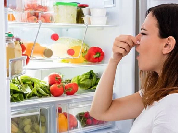 Tủ lạnh có mùi hôi? Nguyên nhân và cách khắc phục mùi hôi trong tủ lạnh?